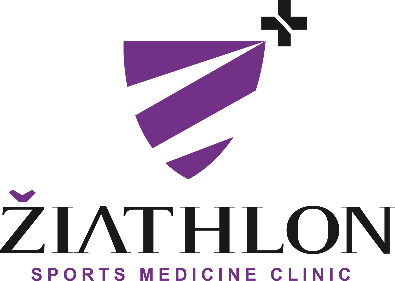 Ziathlon Logo
